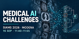 Invited talk at the 16th SIAMS National Congress