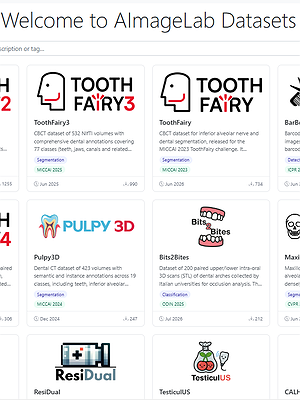 Ditto: The AImageLab Dataset Platform
