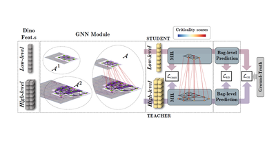 2023 - Medical Image Computing and Computer Assisted Intervention – MICCAI 2023