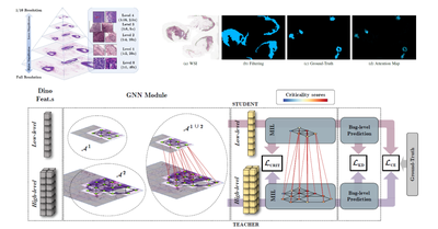 2023 - IEEE Transactions on Medical Imaging