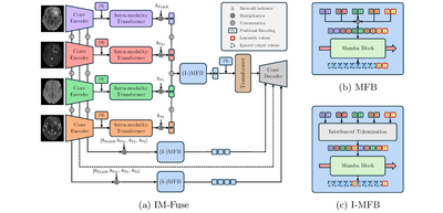 2025 - 28th International Conference on Medical Image Computing and Computer Assisted Intervention
